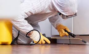 Best Pest Prevention Services  in Zebulon, GA